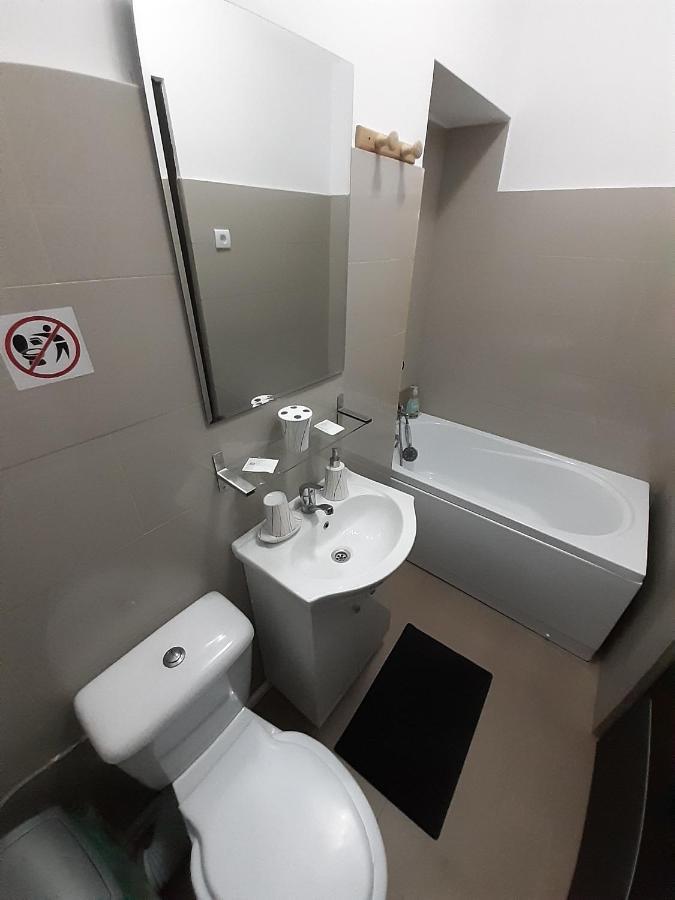 Copou Holding House Apartment Iasi Bagian luar foto