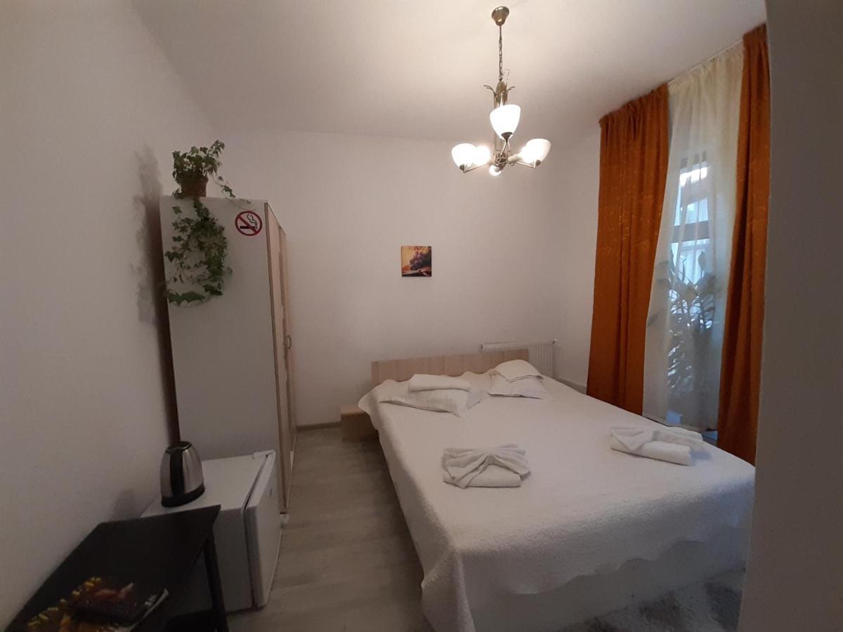 Copou Holding House Apartment Iasi Bagian luar foto