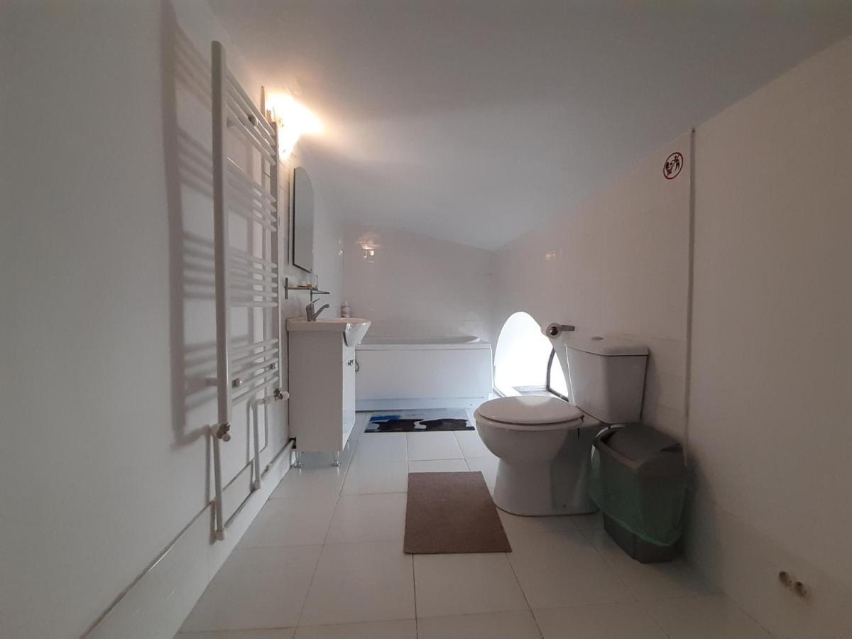 Copou Holding House Apartment Iasi Bagian luar foto