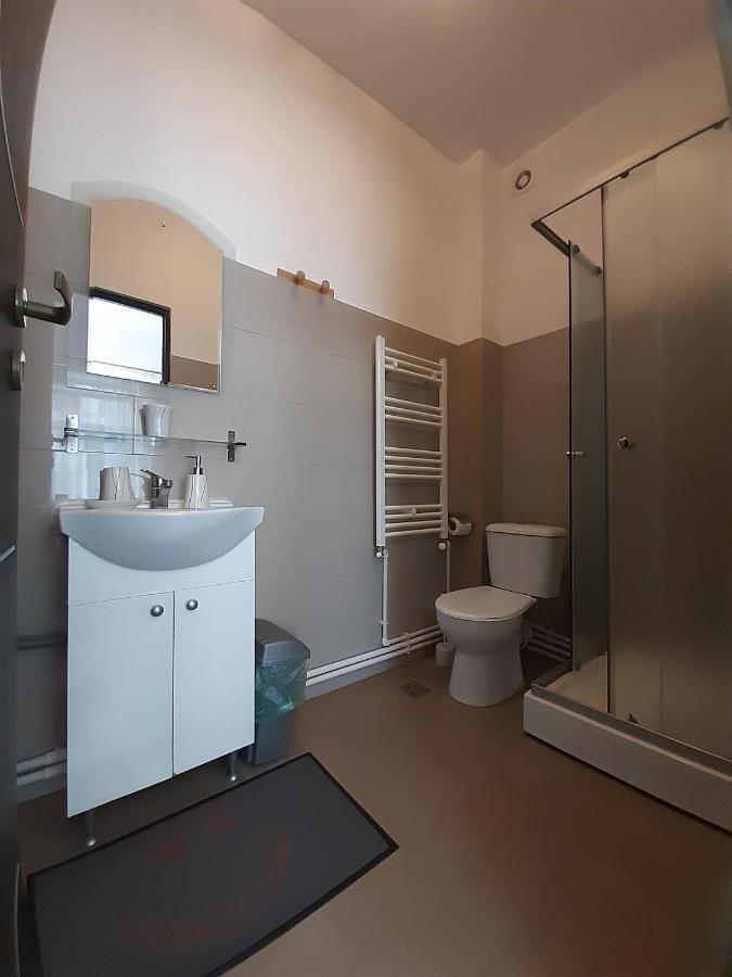 Copou Holding House Apartment Iasi Bagian luar foto