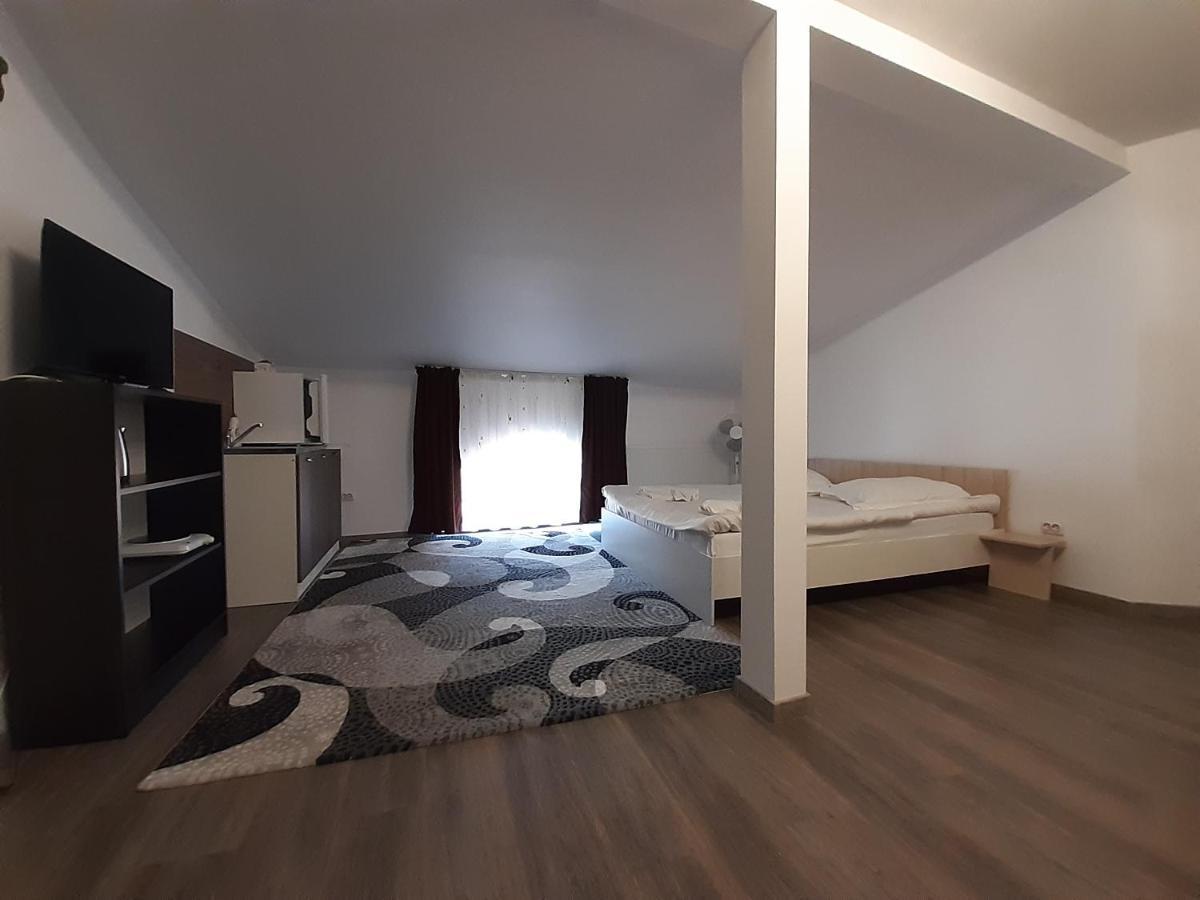 Copou Holding House Apartment Iasi Bagian luar foto