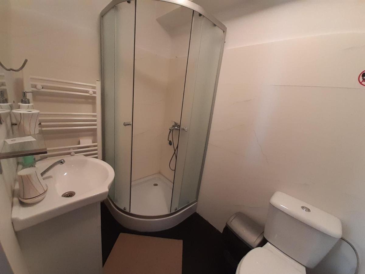 Copou Holding House Apartment Iasi Bagian luar foto