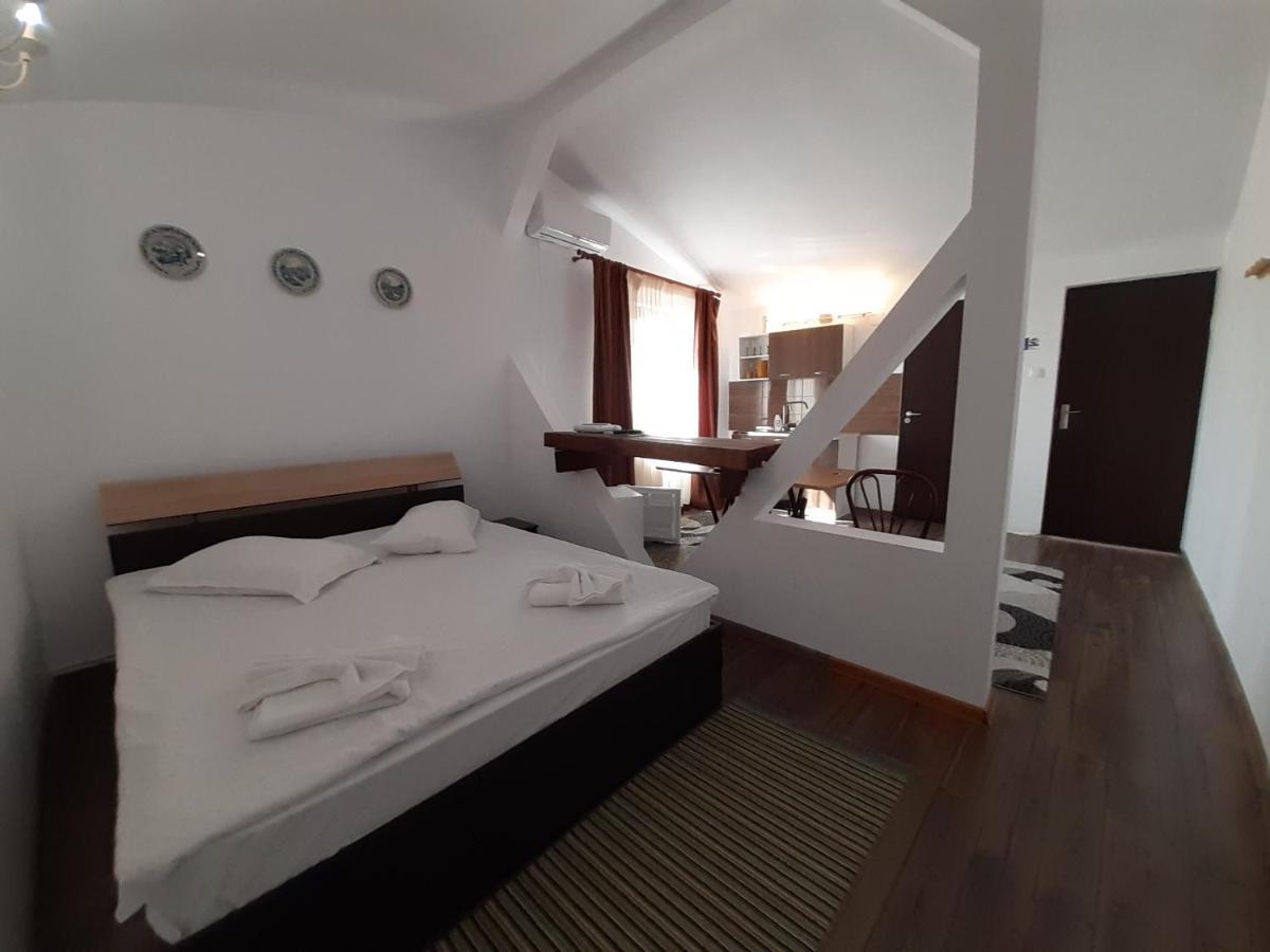 Copou Holding House Apartment Iasi Bagian luar foto